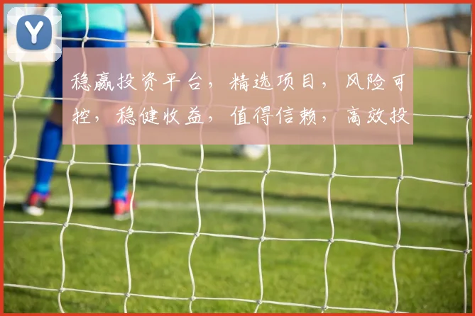 稳赢投资平台，精选项目，风险可控，稳健收益，值得信赖，高效投资首选平台。