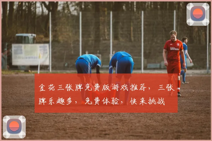 金花三张牌免费版游戏推荐，三张牌乐趣多，免费体验，快来挑战