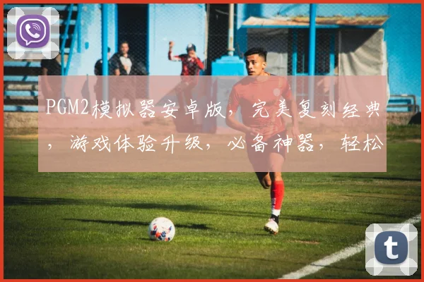 PGM2模拟器安卓版，完美复刻经典，游戏体验升级，必备神器，轻松畅玩
