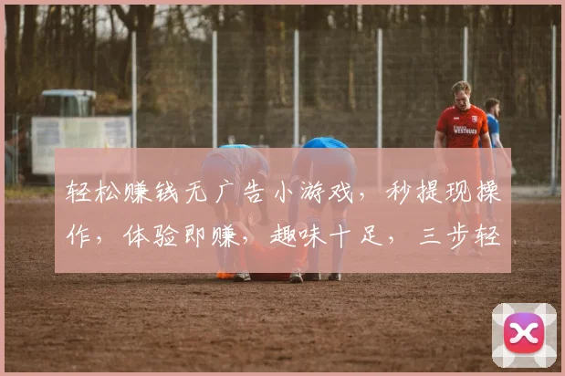 轻松赚钱无广告小游戏，秒提现操作，体验即赚，趣味十足，三步轻松实现